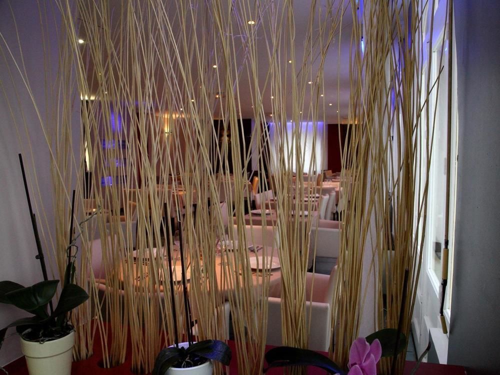 Logis Hotel Restaurant Le Castel Fleuri Saint-Jean-en-Royans Esterno foto